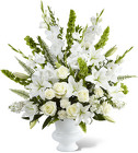 Morning Stars Arrangement